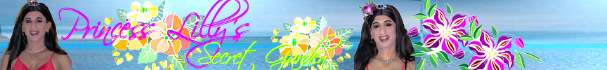Princess Lilly's Banner.. You can click here to ENTER