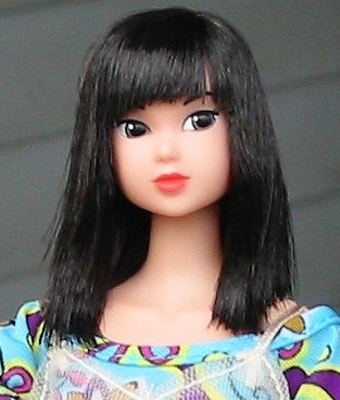 Lisa's Eclectic Hobbies - Momoko