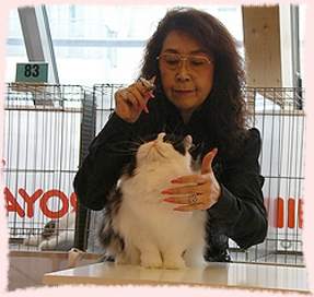 Yaeko Takano & Jordan - Best Cat