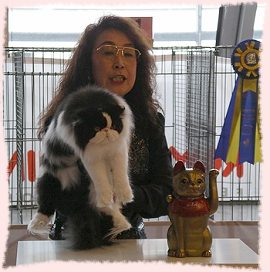 Jordan receiving her Best Cat award from Yaeko Takano - a golden Maneki-Neko cat