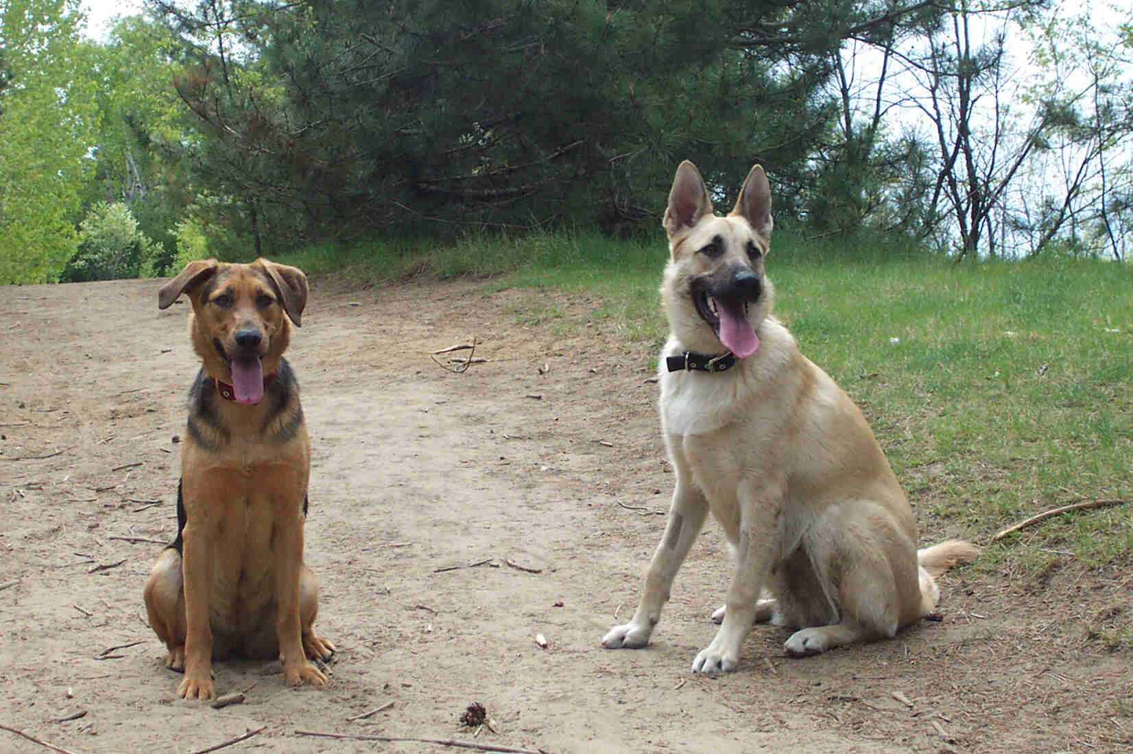 Lucy and Walter's Web Log