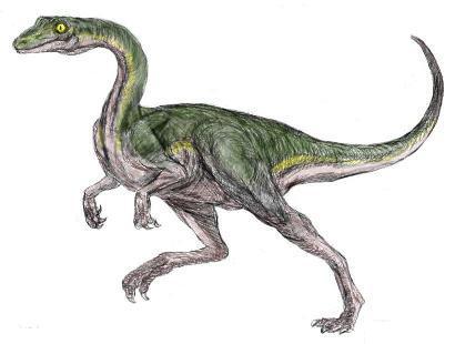 Resultado de imagen para ornithomimus