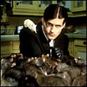 Willard with a bunch of Rats