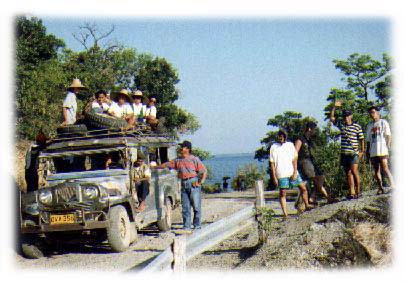 Magdiwang Jeepney plying the National Road.