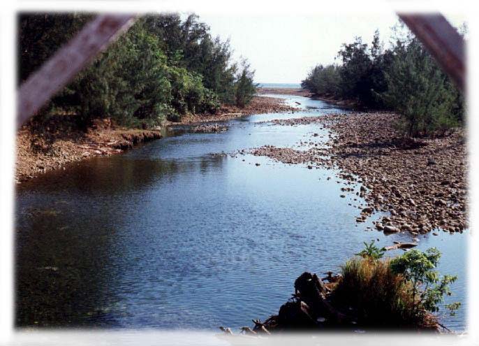 A River in Magdiwang.