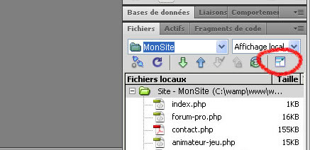 Dreamweaver bouton developpeur
