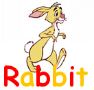 Rabbit Title