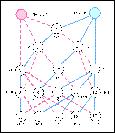 linebreeding