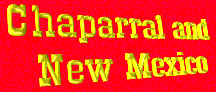 Chaparral, New Mexico (Cha-Logo.gif)