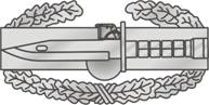 Combat Action Badge (Awarded for actively engaging the enemy in combat, in accordance with the rules of engagement)