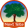 Next Site
Logo