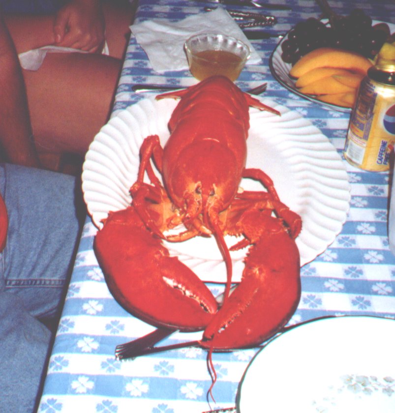 Link to page of Lobster Pictures