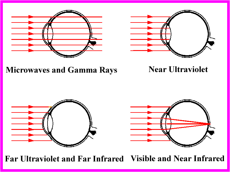 Laser Biological Hazards