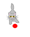 Grey cat and ball