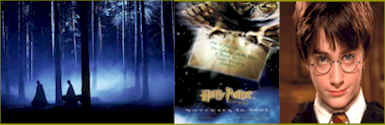 now showing : harry potter and the sorcerer's stone