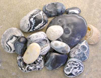 Sample Photo of black agates as found on our local beaches at Newport.