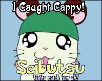 Cappy (Kaburu-Kun)
