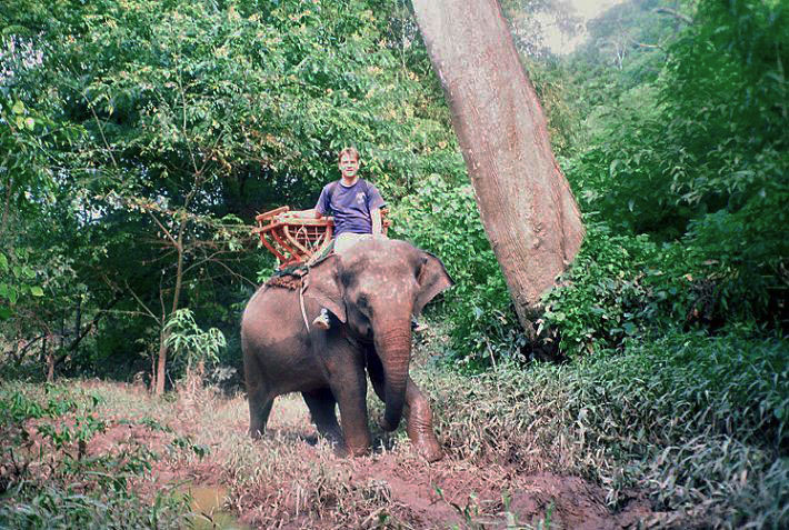 Image of elephant riding