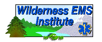 Wilderness Emergency Medical Services Institute