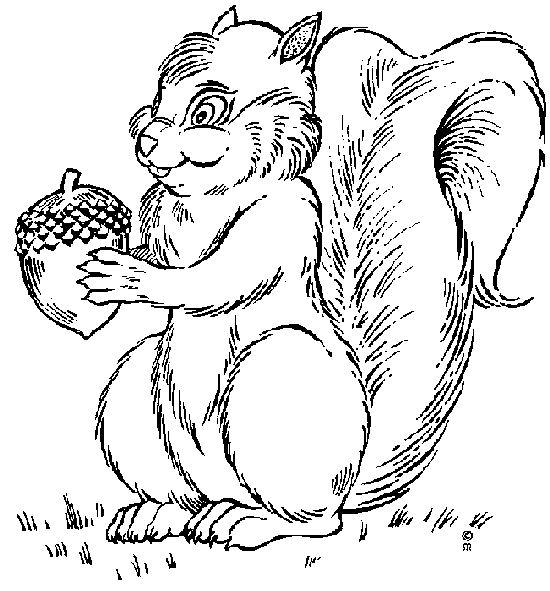 squirl.gif (14845 bytes)
