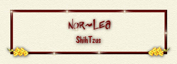 Nor~Lea Shelties