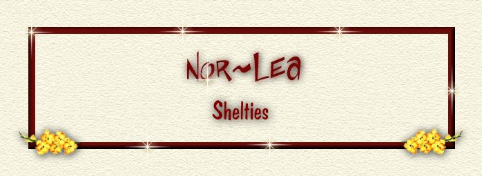 Nor~Lea Shelties