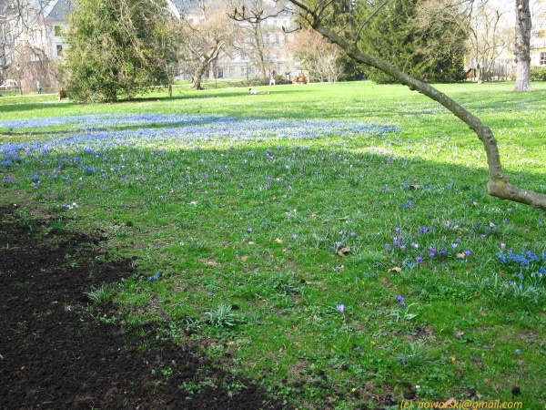 20120323-151302-Baden-Baden-2697.jpg