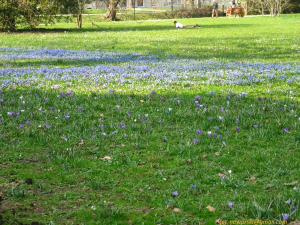 20120323-151326-Baden-Baden-2699.jpg