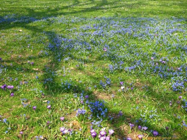 20120323-151424-Baden-Baden-2703.jpg