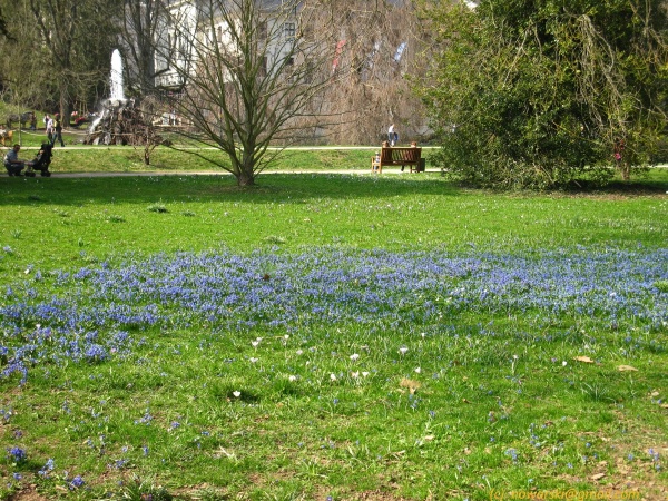 20120323-151442-Baden-Baden-2705.jpg
