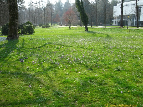 20120323-151720-Baden-Baden-2712.jpg