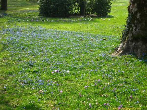 20120323-151758-Baden-Baden-2716.jpg