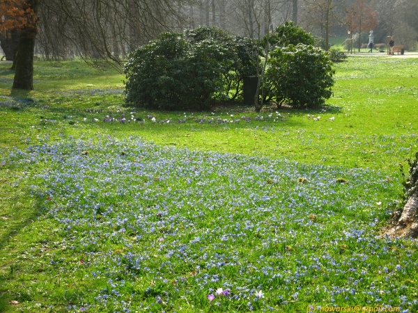 20120323-151802-Baden-Baden-2717.jpg