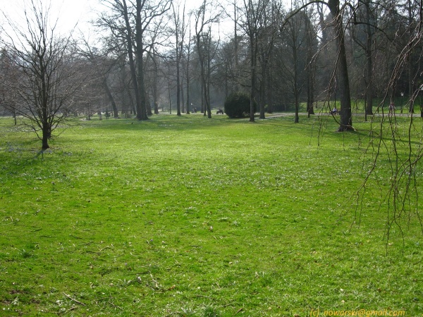 20120323-152230-Baden-Baden-2729.jpg