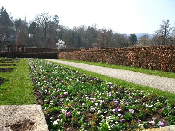 20120323-154638-Baden-Baden-2768.jpg