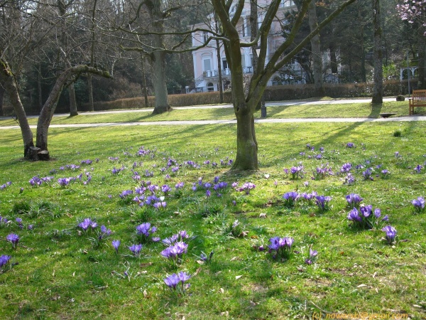 20120323-155102-Baden-Baden-2771.jpg