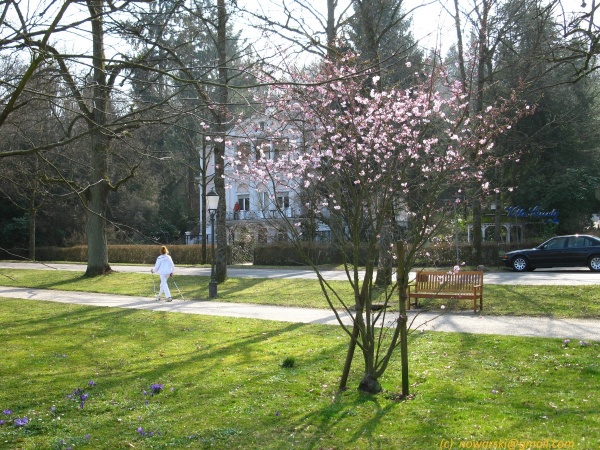 20120323-155116-Baden-Baden-2772.jpg