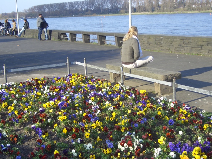 20070325-184406-bonn-CJ1570.JPG