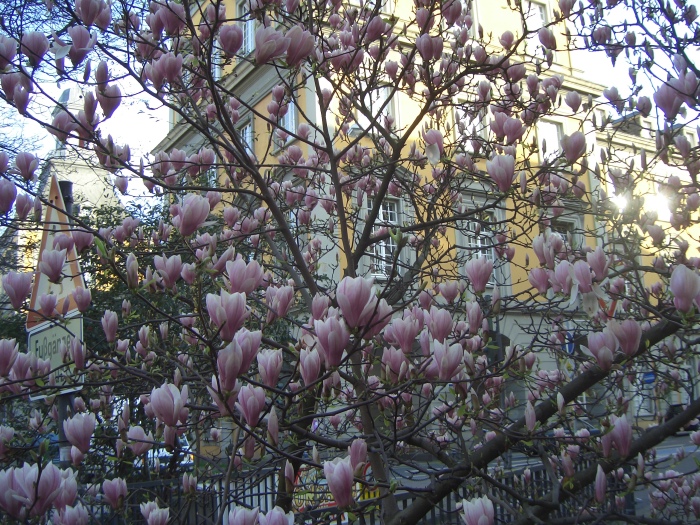 20070325-191948-bonn-CJ1576.JPG