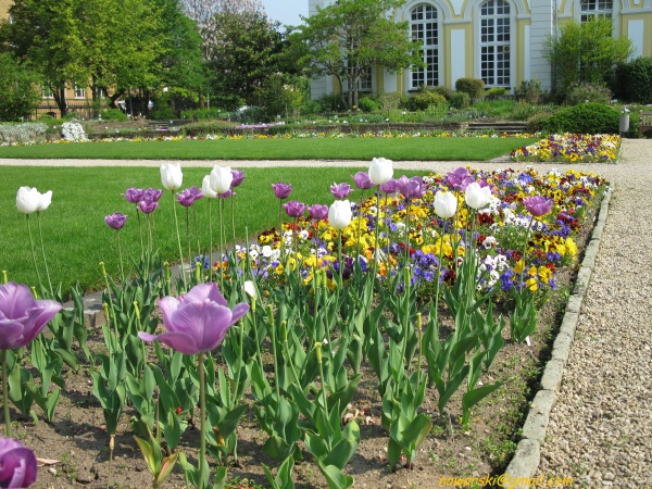 20090501-110602-Bonn-botanic_garden-1016.jpg