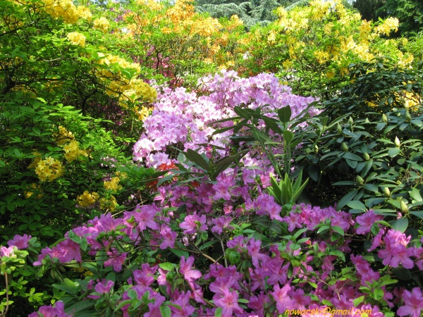 20090501-120754-Bonn-botanic_garden-1048.jpg