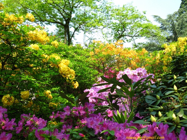 20090501-120838-Bonn-botanic_garden-1051.jpg