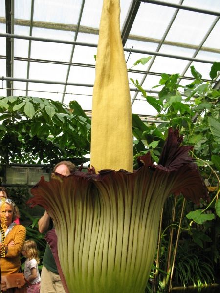 20090501-122308-Bonn-botanic_garden-1059.jpg