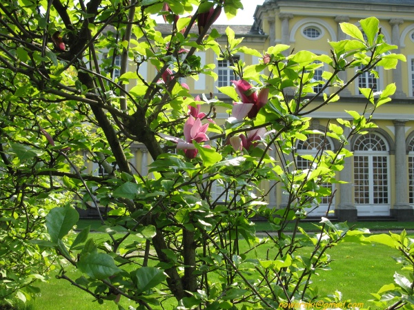 20090501-123822-bonn_poppelsdorfer_schloss-1063.jpg