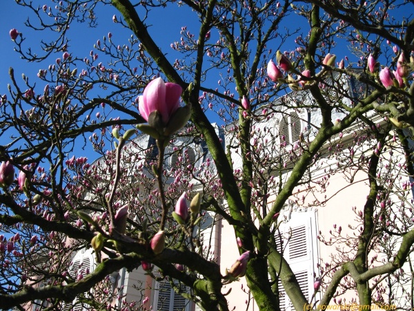 20120326-111912-Dusseldorf-Benrath-2924.jpg
