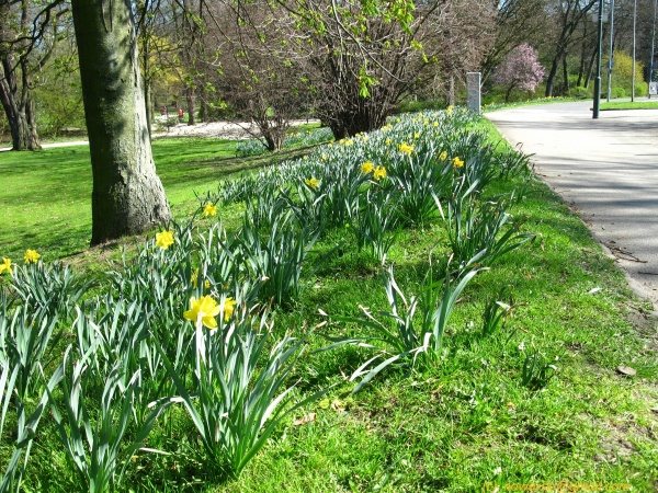 20120326-153406-Dusseldorf-3061.jpg