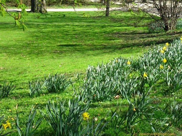 20120326-153442-Dusseldorf-3062.jpg