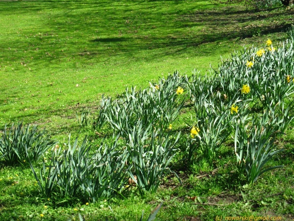 20120326-153458-Dusseldorf-3063.jpg