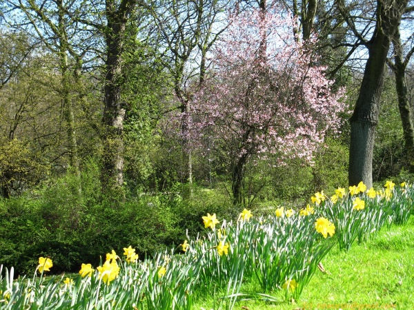 20120326-153700-Dusseldorf-3068.jpg