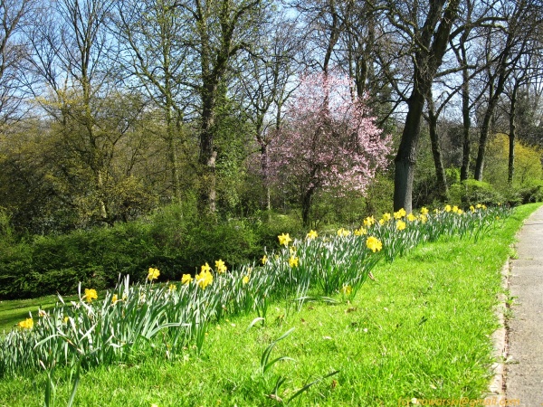 20120326-153706-Dusseldorf-3069.jpg